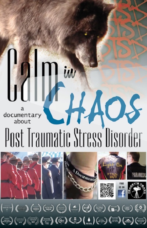 Calm in Chaos